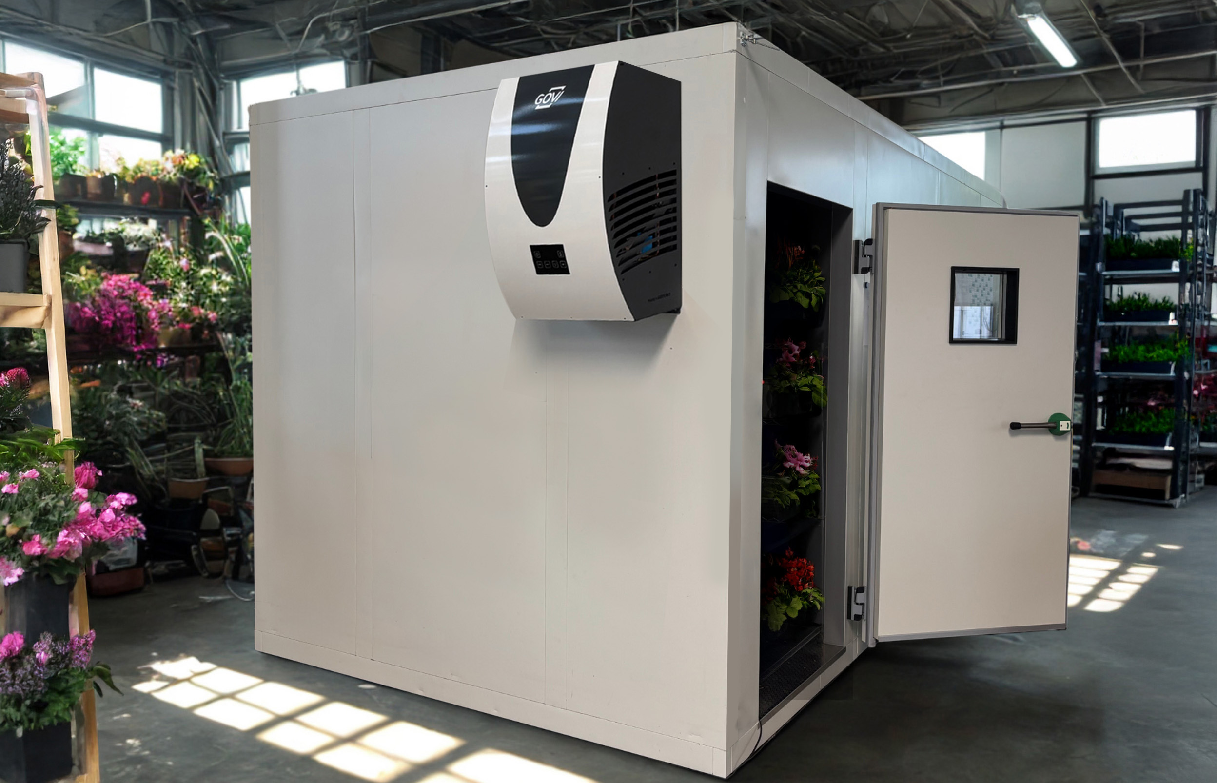 GOVI POLARIK Kühlgerät in Betrieb: Kühlzelle im Blumenladen zur temperaturgerechten Lagerung frischer Schnittblumen.